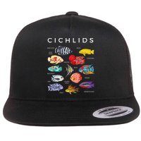 Types Of Cichlid Fish Species Cichlids Aquarium Flatbill Hat