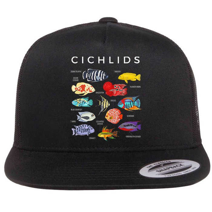 Types Of Cichlid Fish Species Cichlids Aquarium Flatbill Hat
