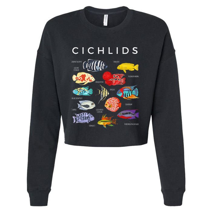 Types Of Cichlid Fish Species Cichlids Aquarium Cropped Pullover Crew