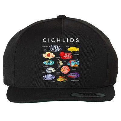 Types Of Cichlid Fish Species Cichlids Aquarium Wool Snapback Cap