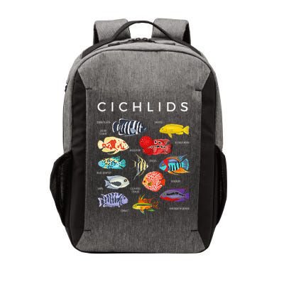 Types Of Cichlid Fish Species Cichlids Aquarium Vector Backpack