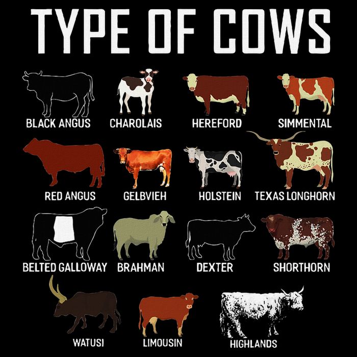 Types Of Cows Farmer Costume Cow Bucket Hat