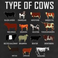 Types Of Cows Farmer Costume Cow Golf Towel