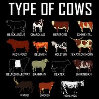 Types Of Cows Farmer Costume Cow Visor
