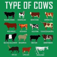 Types Of Cows Farmer Costume Cow Hoodie
