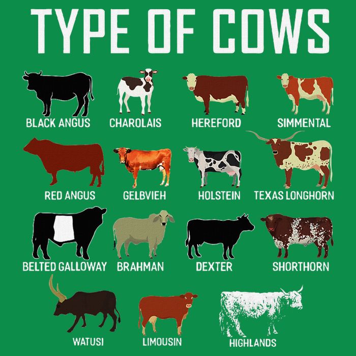Types Of Cows Farmer Costume Cow Hoodie