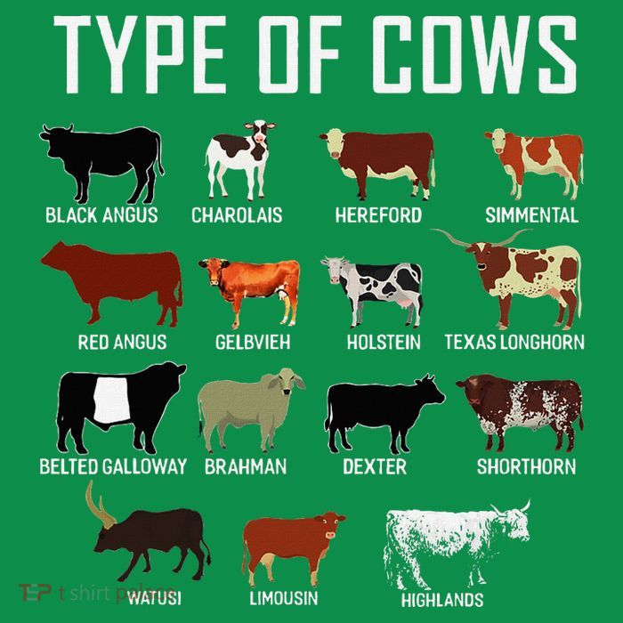 Types Of Cows Farmer Costume Cow Tall T-Shirt