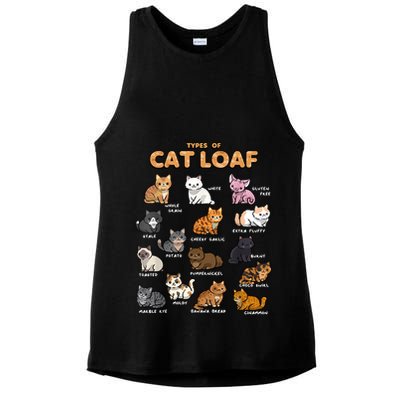 Types Of Cat Loaf Cute Kitten Funny Cat Meme Cat Lover Ladies PosiCharge Tri-Blend Wicking Tank