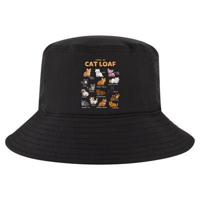 Types Of Cat Loaf Cute Kitten Funny Cat Meme Cat Lover Cool Comfort Performance Bucket Hat