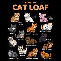 Types Of Cat Loaf Cute Kitten Funny Cat Meme Cat Lover Button