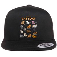 Types Of Cat Loaf Cute Kitten Funny Cat Meme Cat Lover Flatbill Hat