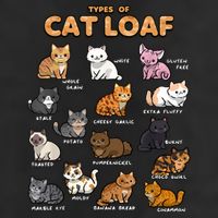 Types Of Cat Loaf Cute Kitten Funny Cat Meme Cat Lover Trucker Hat