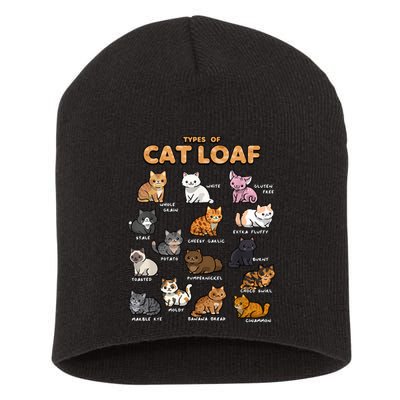 Types Of Cat Loaf Cute Kitten Funny Cat Meme Cat Lover Short Acrylic Beanie