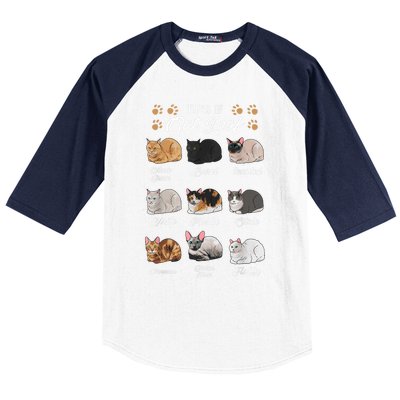 Types Of Cat Loaf Cats Kitty Kitten Cat Lover Cat Mom Dad Baseball Sleeve Shirt