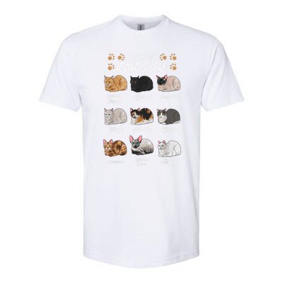 Types Of Cat Loaf Cats Kitty Kitten Cat Lover Cat Mom Dad Softstyle CVC T-Shirt