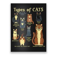 Types Of Cat Funny Comparison Cat Pet Lover Owner Poster