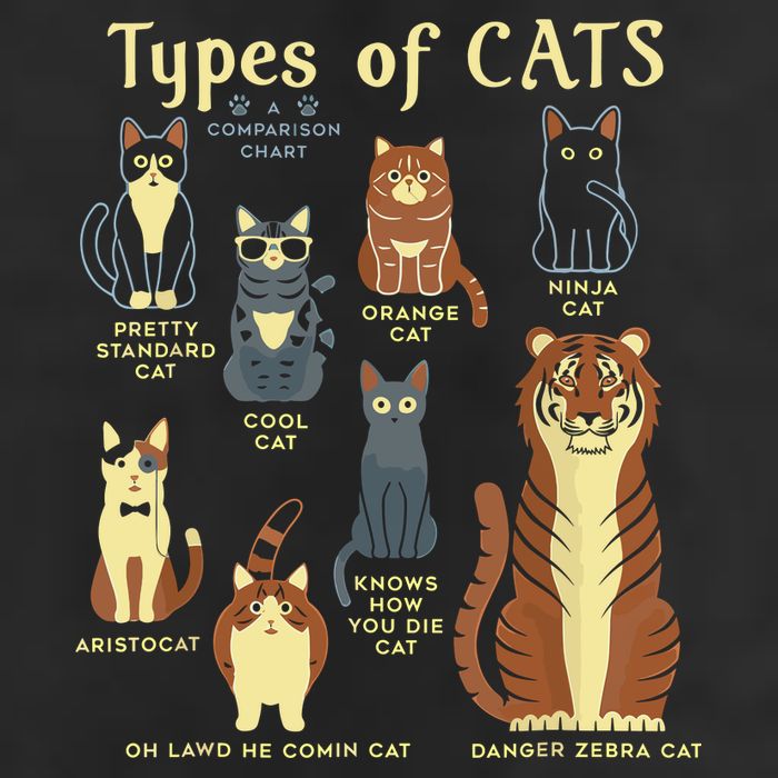 Types Of Cat Funny Comparison Cat Pet Lover Owner Hat