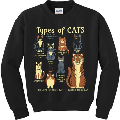 Types Of Cat Funny Comparison Cat Pet Lover Owner Kids Sweatshirt