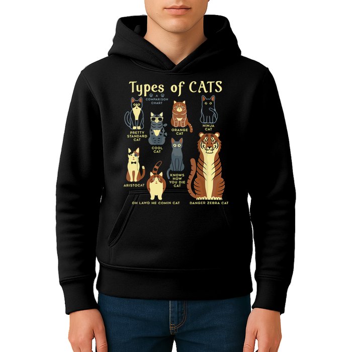Types Of Cat Funny Comparison Cat Pet Lover Owner Kids Hoodie