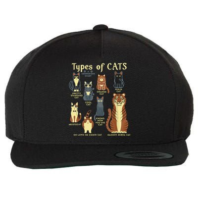 Types Of Cat Funny Comparison Cat Pet Lover Owner Wool Snapback Cap