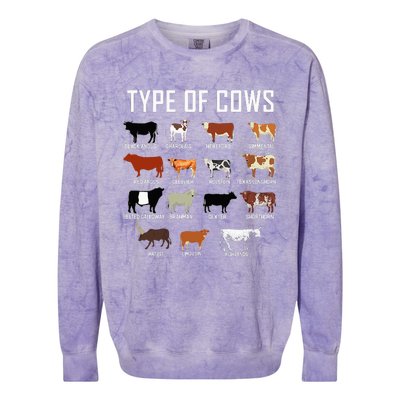 Types Of Cows Farmer Costume Cow Colorblast Crewneck Sweatshirt