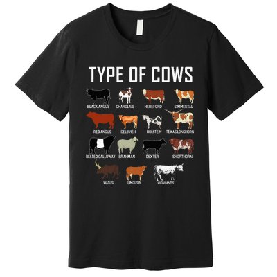 Types Of Cows Farmer Costume Cow Premium T-Shirt