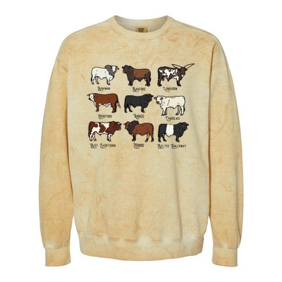 Types Of Cow & Cattle western Bulls Angus Farmer  Colorblast Crewneck Sweatshirt