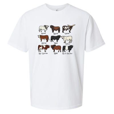 Types Of Cow & Cattle western Bulls Angus Farmer  Sueded Cloud Jersey T-Shirt