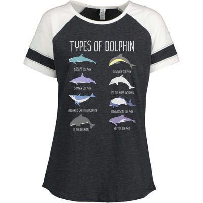 Types Of Dolphin Enza Ladies Jersey Colorblock Tee