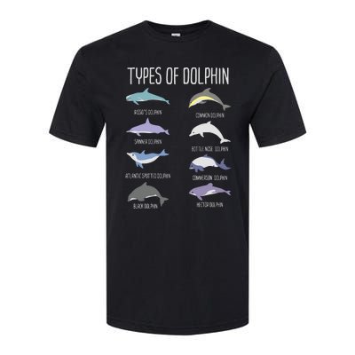 Types Of Dolphin Softstyle® CVC T-Shirt