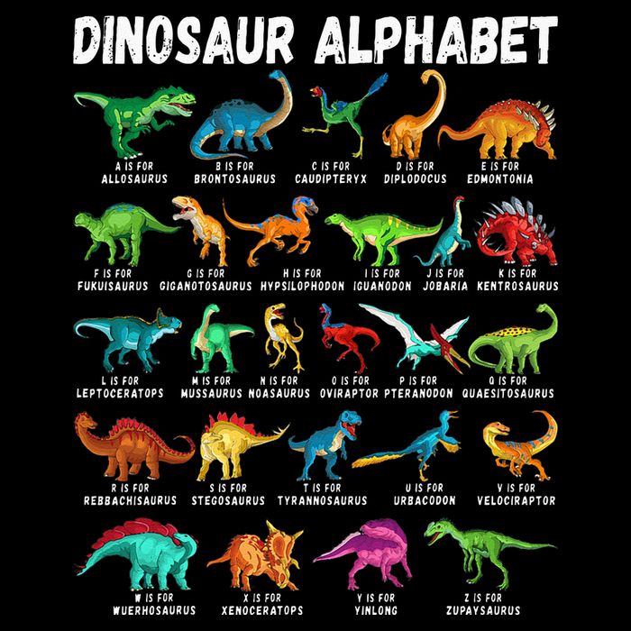 Types Of Dinosaurs Alphabet A Z ABC Dino Identification T-Shirt