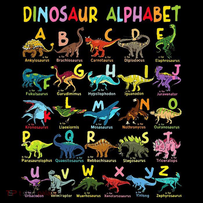Types Of Dinosaurs Alphabet AZ ABC Dino Identification Crop Top