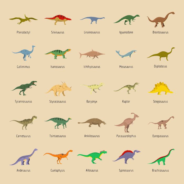 Types Of Dinosaurs For And Bag