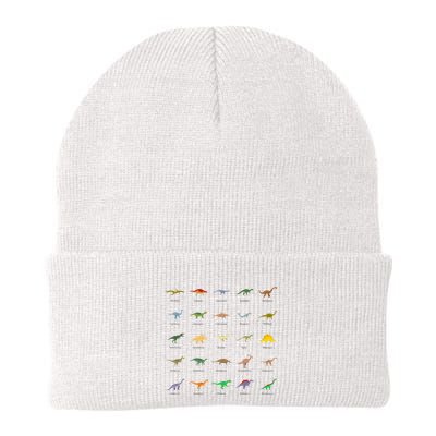 Types Of Dinosaurs For And Beanie