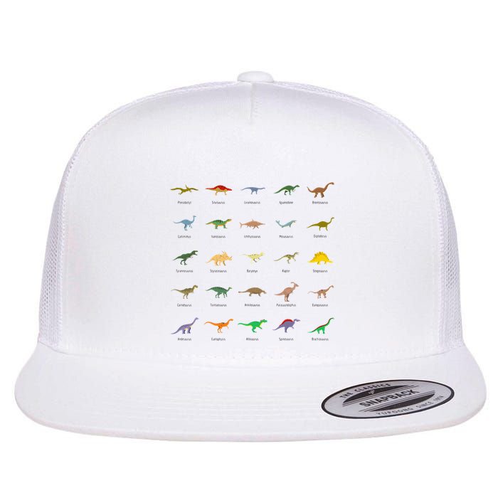 Types Of Dinosaurs For And Flatbill Hat
