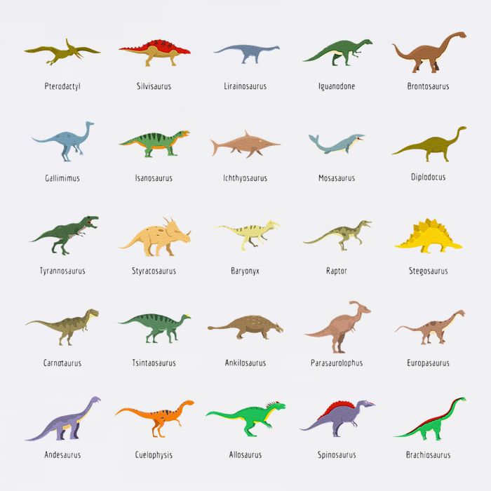 Types Of Dinosaurs For And Flatbill Hat