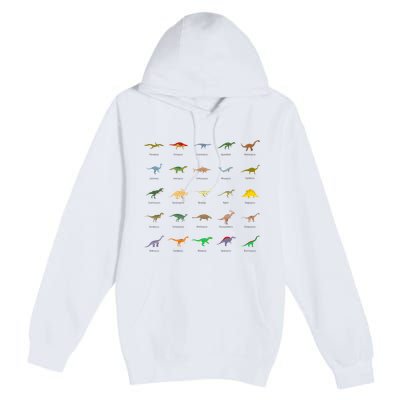Types Of Dinosaurs For And Premium Pullover Hoodie