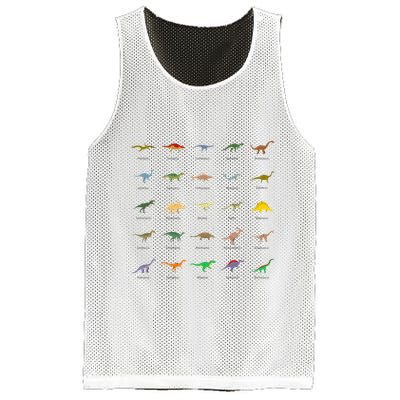 Types Of Dinosaurs For And Mesh Reversible Basketball Jersey Tank