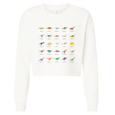 Types Of Dinosaurs For And Cropped Pullover Crew