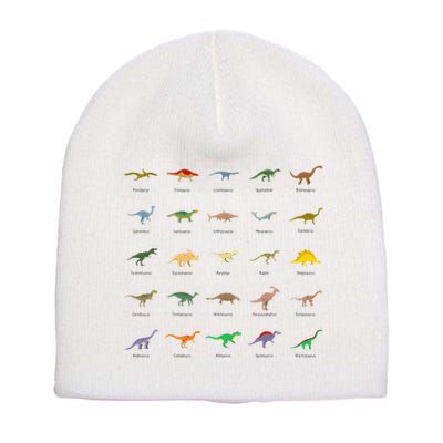 Types Of Dinosaurs For And Short Acrylic Beanie