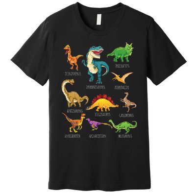 Types Of Dinosaurs Graphics Dino Identification Premium T-Shirt