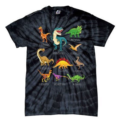 Types Of Dinosaurs Graphics Dino Identification Tie-Dye T-Shirt