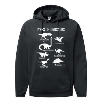 Types Of Dinosaurs  Dinosaur Lover Performance Fleece Hoodie