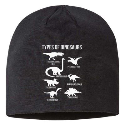 Types Of Dinosaurs  Dinosaur Lover Sustainable Beanie