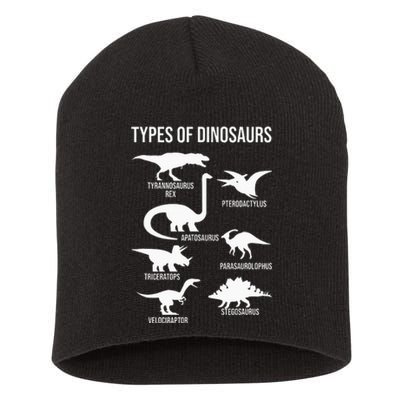 Types Of Dinosaurs  Dinosaur Lover Short Acrylic Beanie