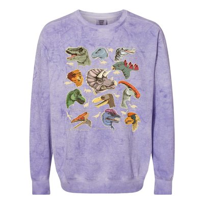 Types Of Dinosaurs Archaeologists Paleontologist Adult Men Colorblast Crewneck Sweatshirt