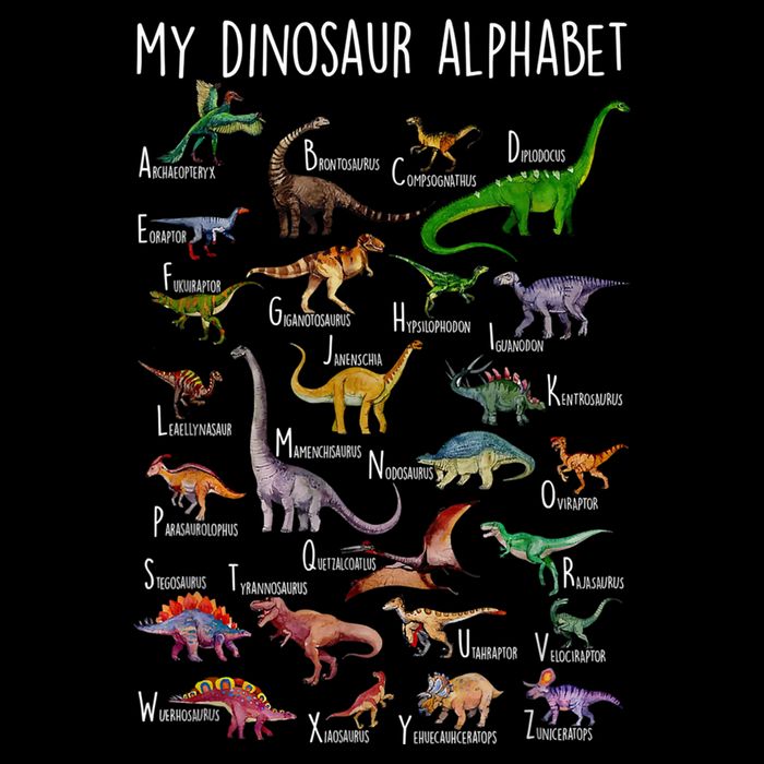 Types Of Dinosaurs Alphabet A Z Abc Dino Rex Identification Drawstring Bag