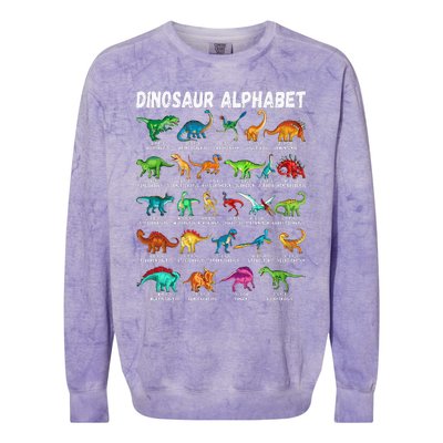 Types Of Dinosaurs Alphabet A Z ABC Dino Identification Colorblast Crewneck Sweatshirt