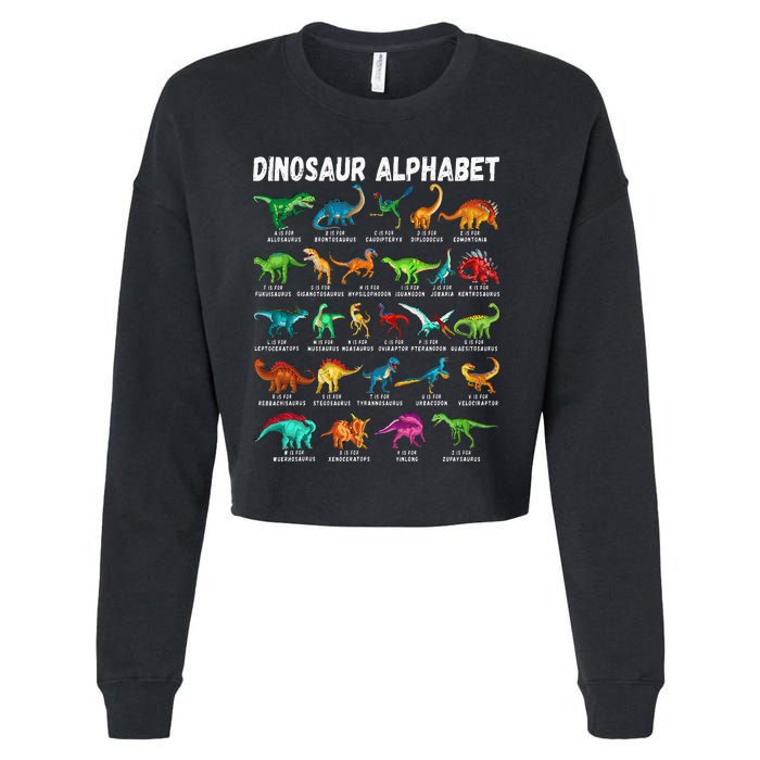 Types Of Dinosaurs Alphabet Az Abc Dino Identification Cropped Pullover Crew