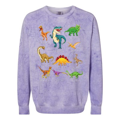 Types Of Dinosaurs Graphics Dino Identification Colorblast Crewneck Sweatshirt